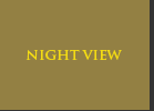 NIGHT VIEW